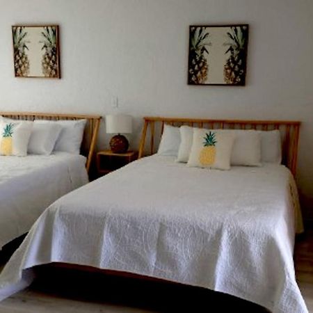 Pineapple Shores Inn Unit 1 Daytona Beach Exteriér fotografie